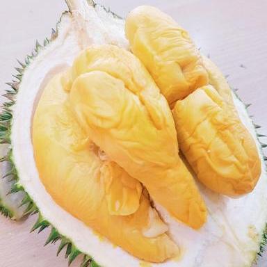 D101 Durian in Singapore