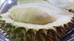 D17 Durian in Singapore
