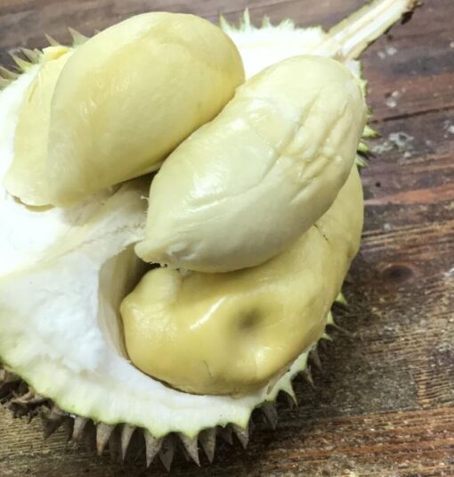 19 Types of Durian Singapore 2024 | Choose Your Favourite Durian Taste