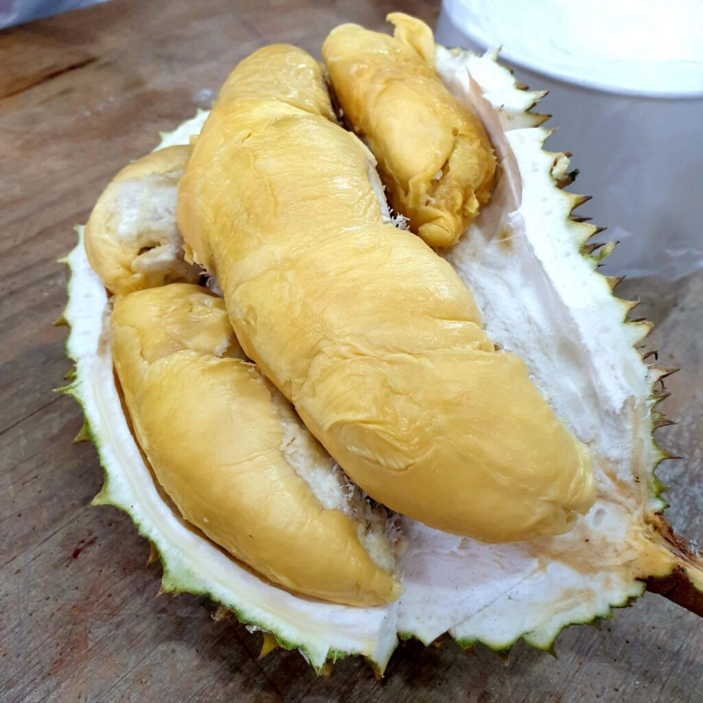 Green Bamboo Durian in Singapore